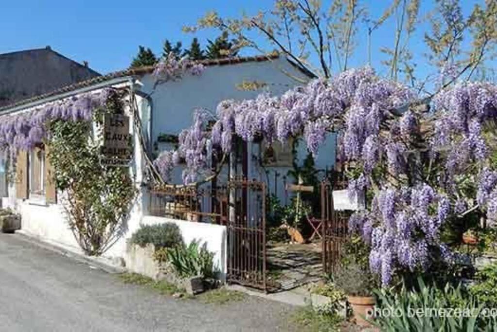 Maison Coquelicots - 4 Personnes - Jardin Mornac-sur-Seudre Exterior photo